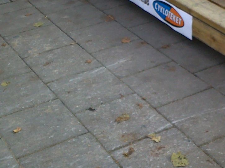 20101030164.jpg ht=544