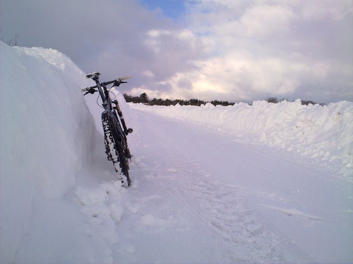 20101226459.jpg ht=544
