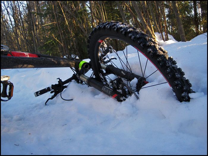 2010312Dagensbild.jpg ht=525