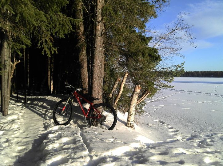 2011-02-02_10-59-08_579.jpg ht=542