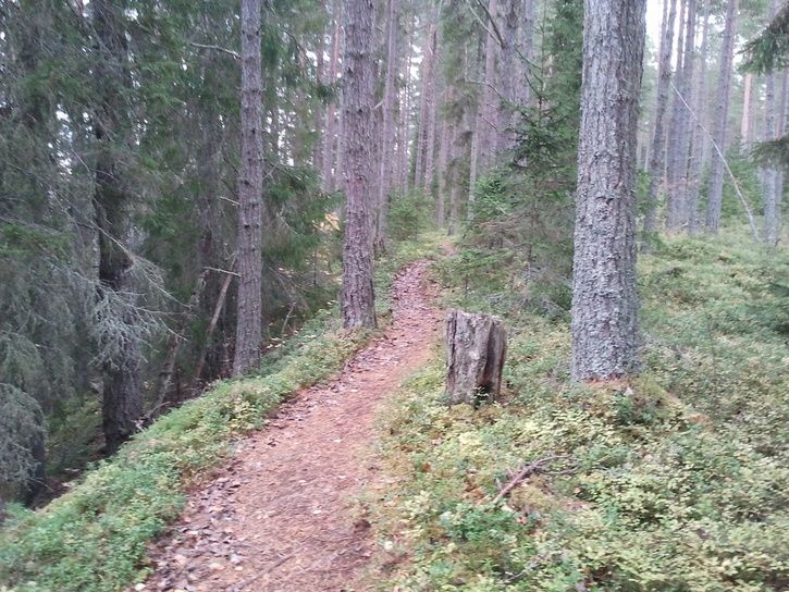2011-10-0911.59.42.jpg