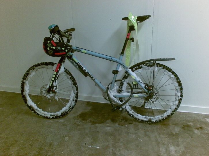 20110105.jpg ht=544