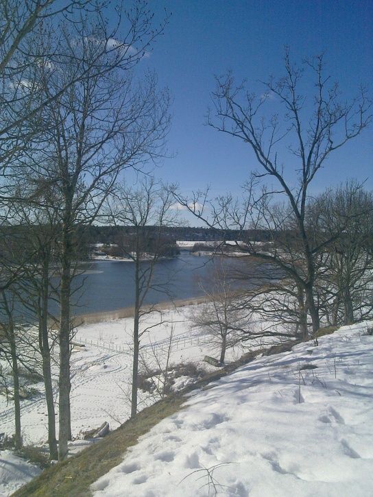 20110306_001.jpg ht=725