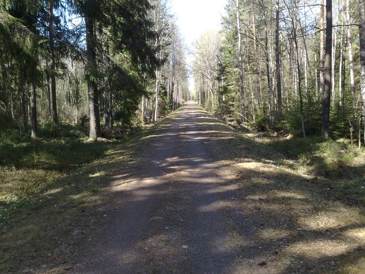 20110424881.jpg ht=544