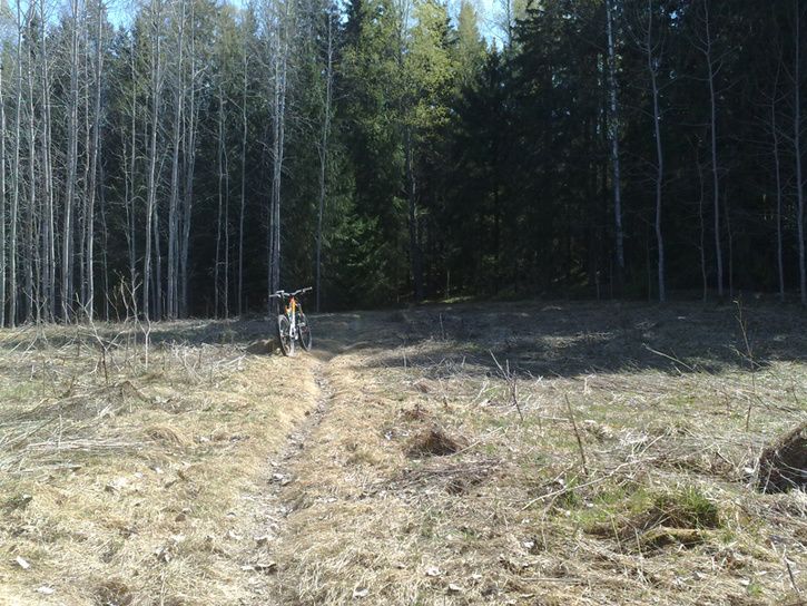 20110424882.jpg ht=544