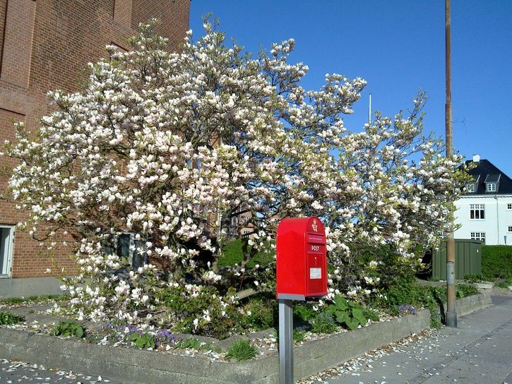 20110430_056.jpg