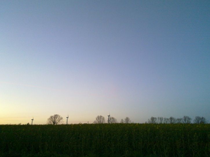 20110430_072.jpg