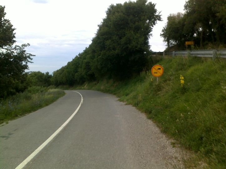 20110801006.jpg