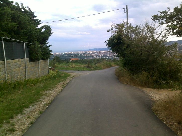 20110801013.jpg