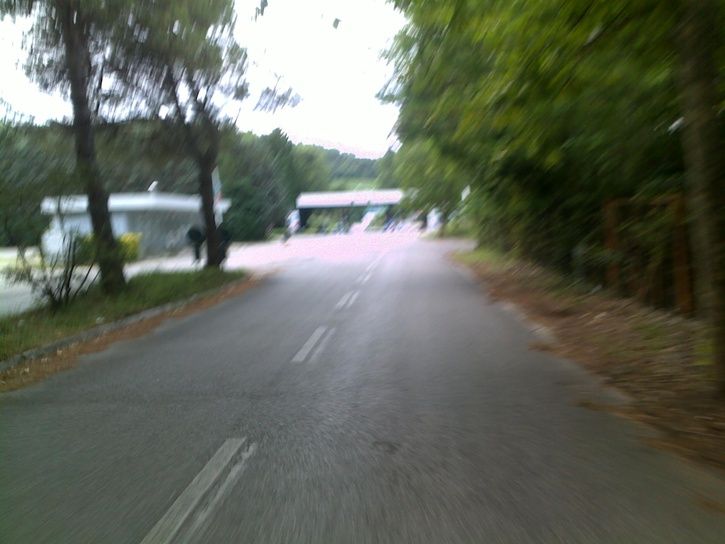 20110801023.jpg