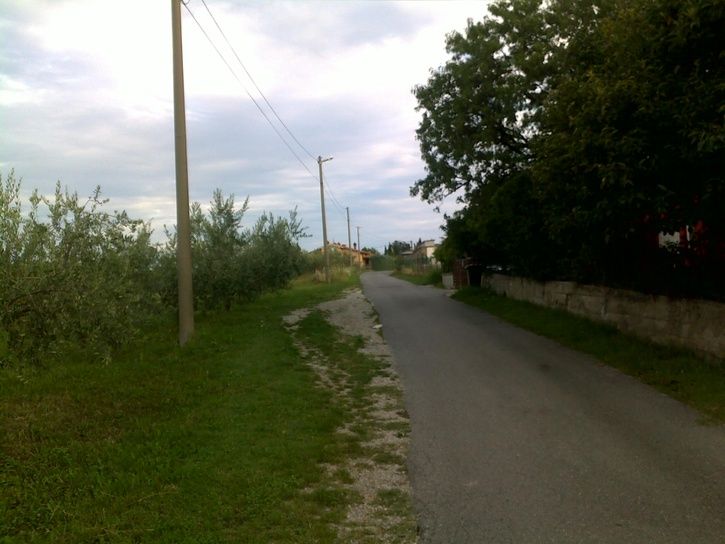 20110801271.jpg