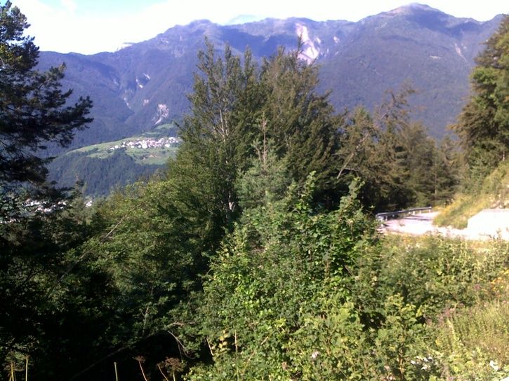 20110802050.jpg