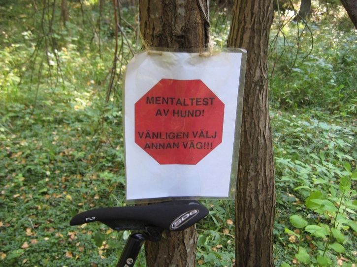 20110904.JPG