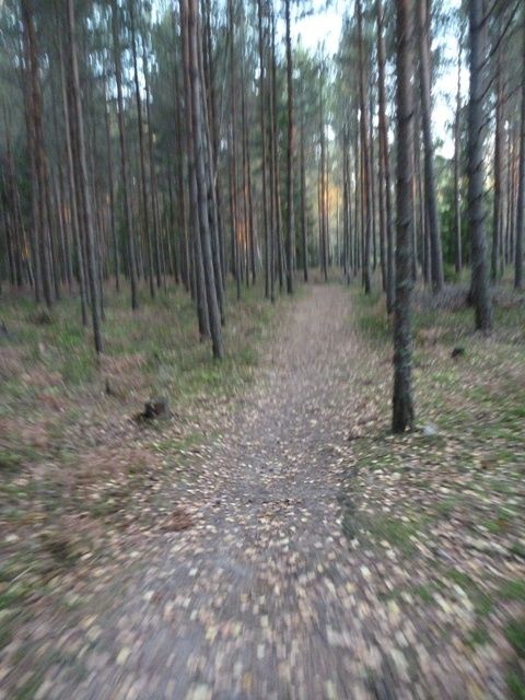 20110930LP16.JPG