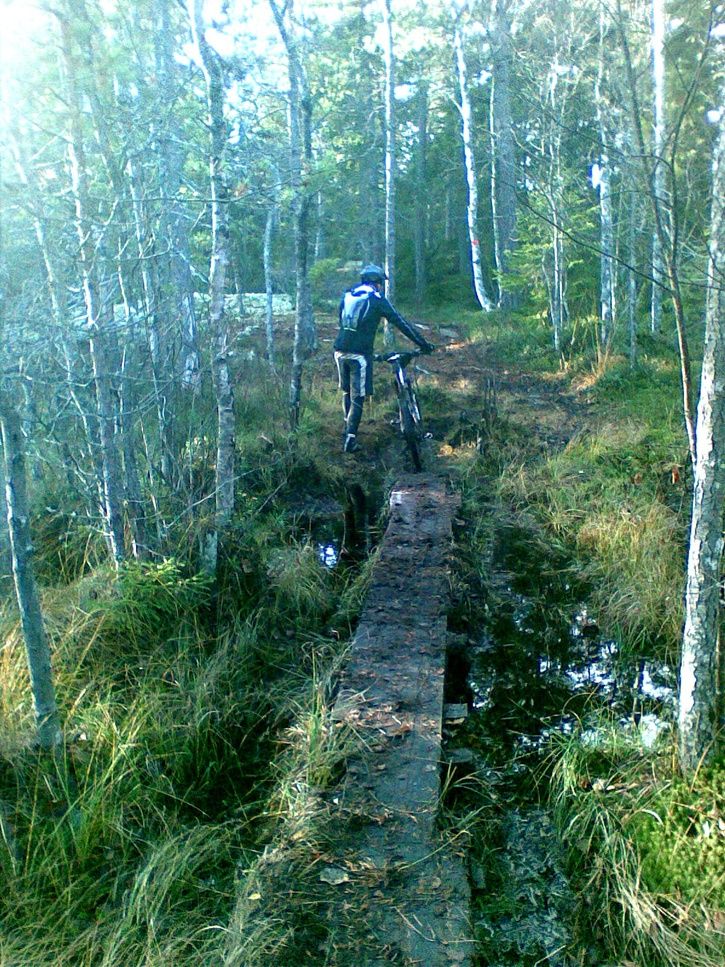 20111029015.jpg