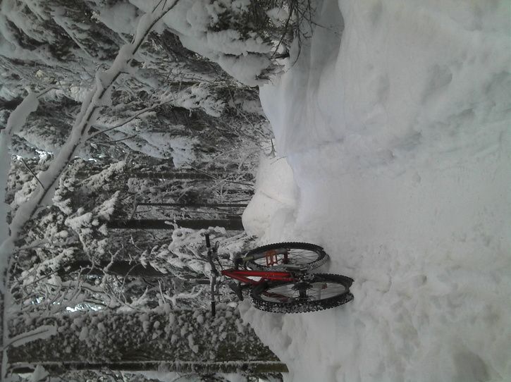 2012-01-12_10-40-21_475.jpg