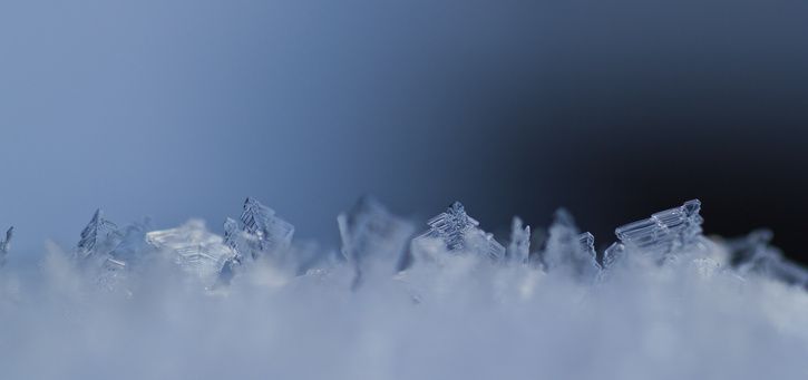 20120131_1746_edited-2.jpg