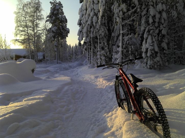 2012-02-01_13-54-17_460.jpg