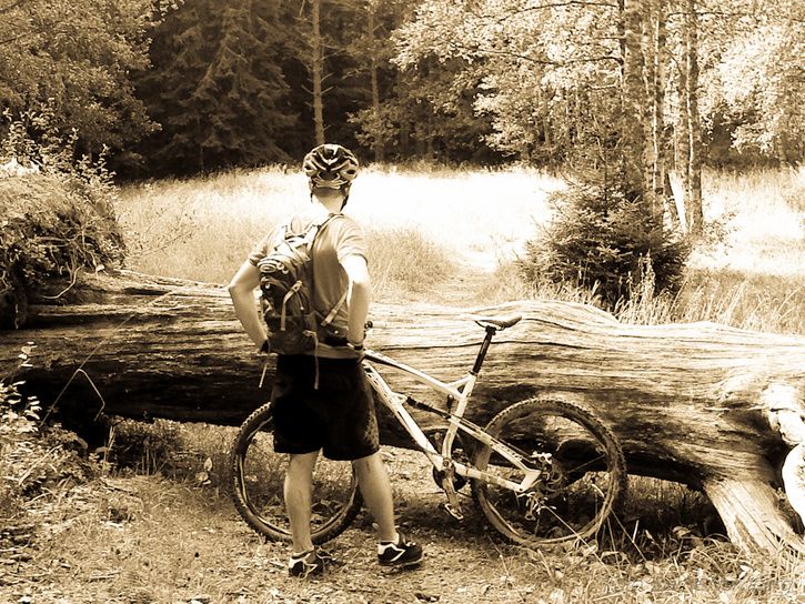 2012-08-0212.33.18-web.jpg