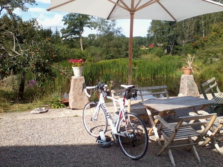 2012-08-17124805-1.jpg