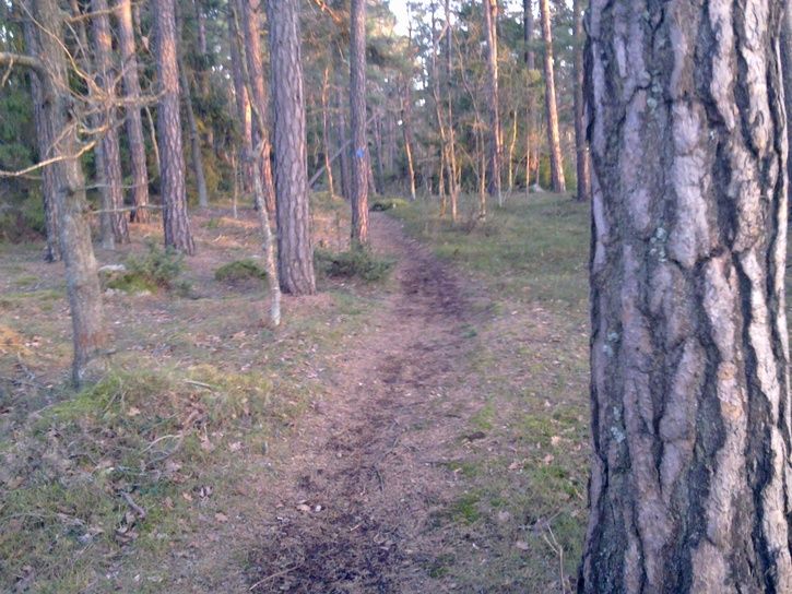 20120303506.jpg