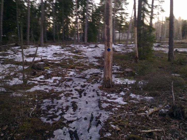 20120303508.jpg