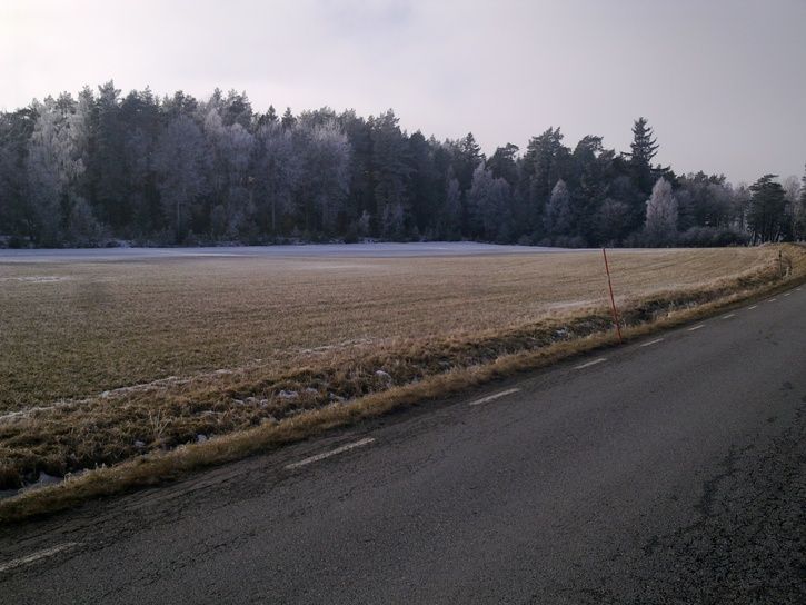 20120304518.jpg
