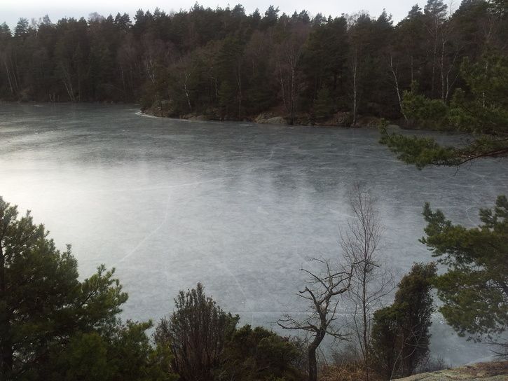 20120304_134338.jpg