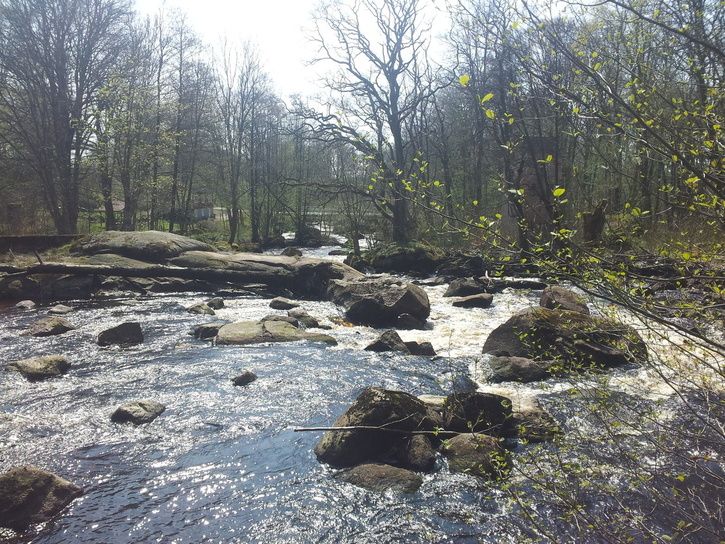 20120430_133001.jpg