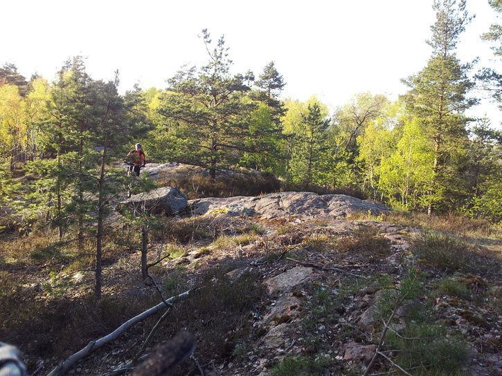 20120507_191337.jpg