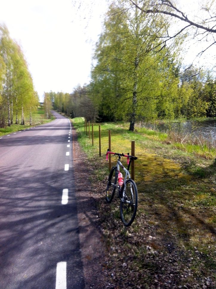 20120513_113031.JPG