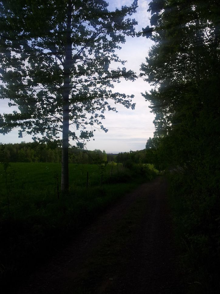 20120530_072711.jpg
