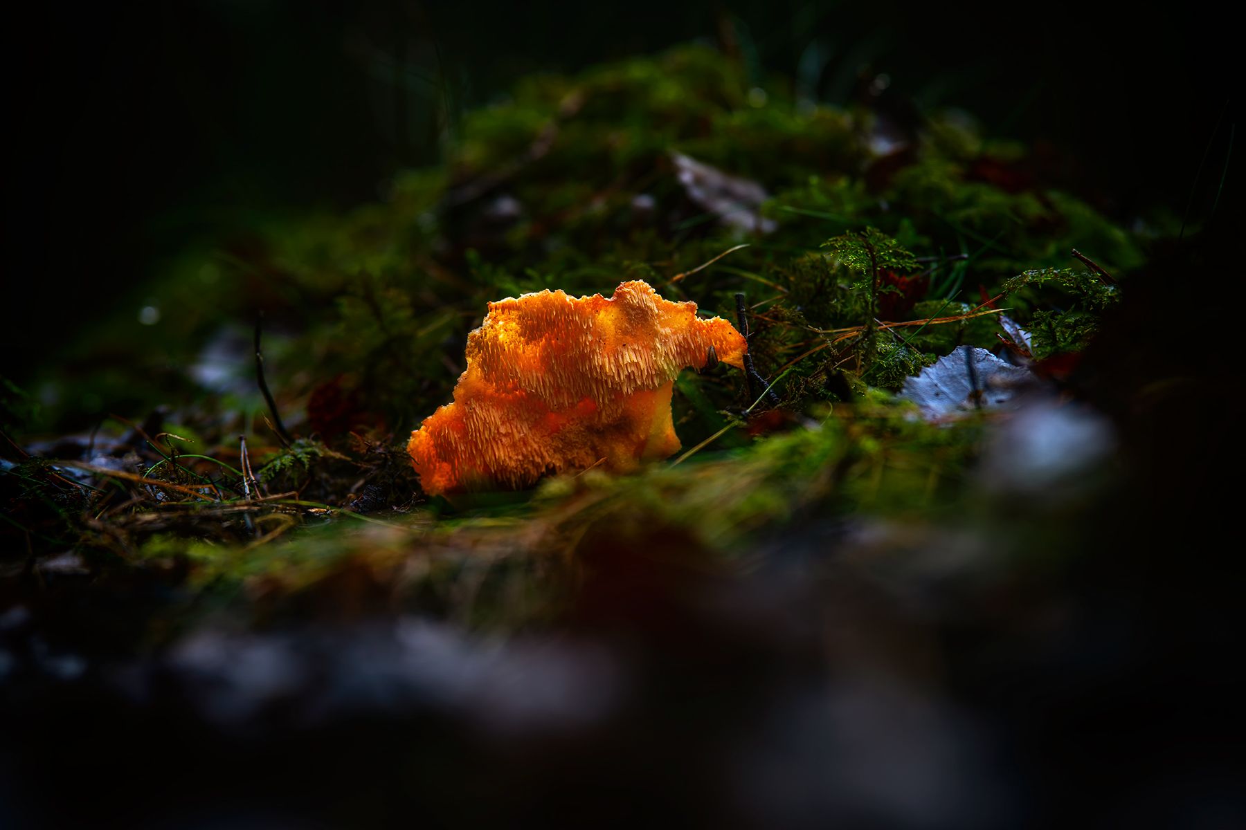 201205_DSC00039.jpg