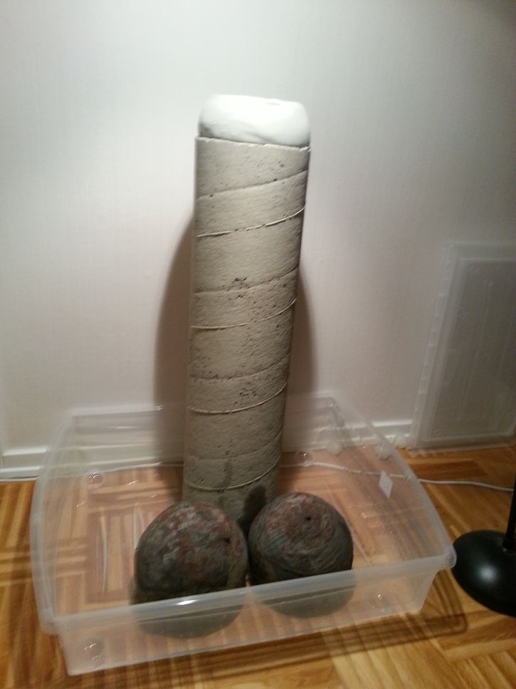 20120928_202004.jpg