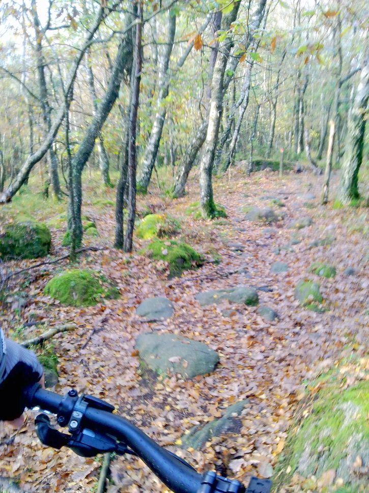 20121014953.jpg