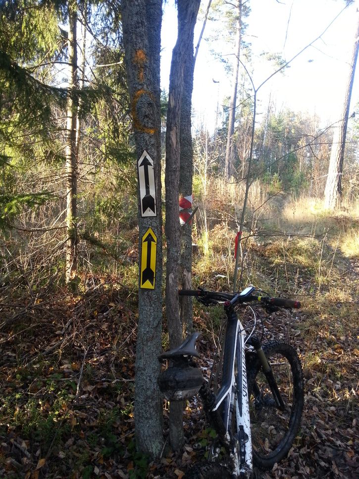 20121026_152135.jpg
