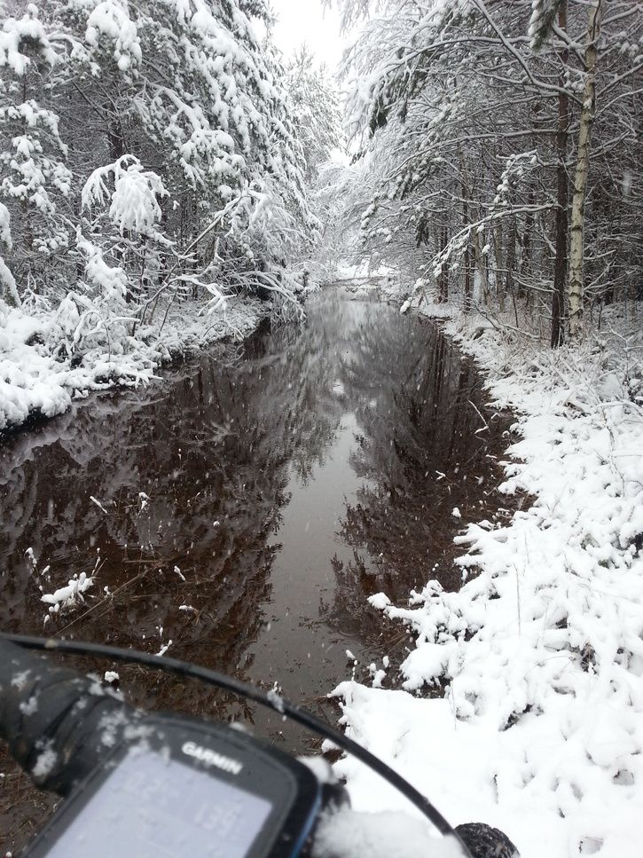 20121130_120214.jpg