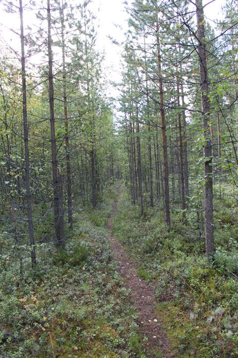 2012_08_19_2318.JPG