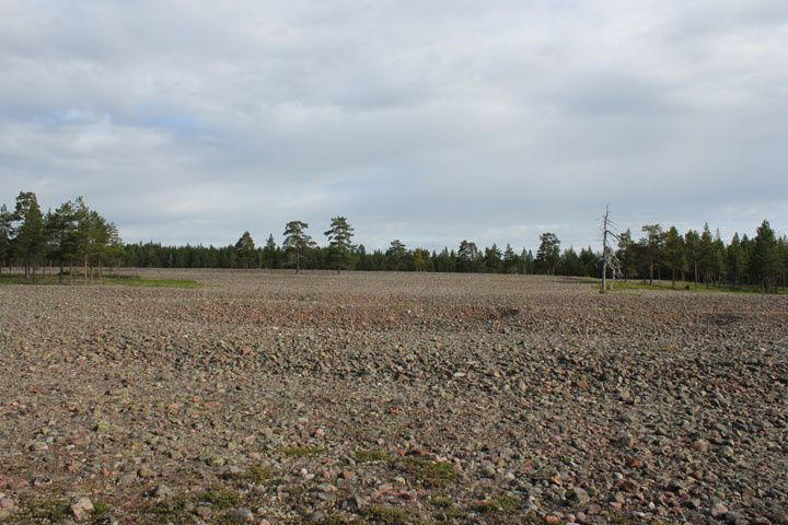 2012_08_19_2335.JPG
