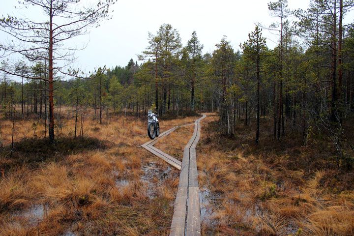 2012_11_04_2682.jpg