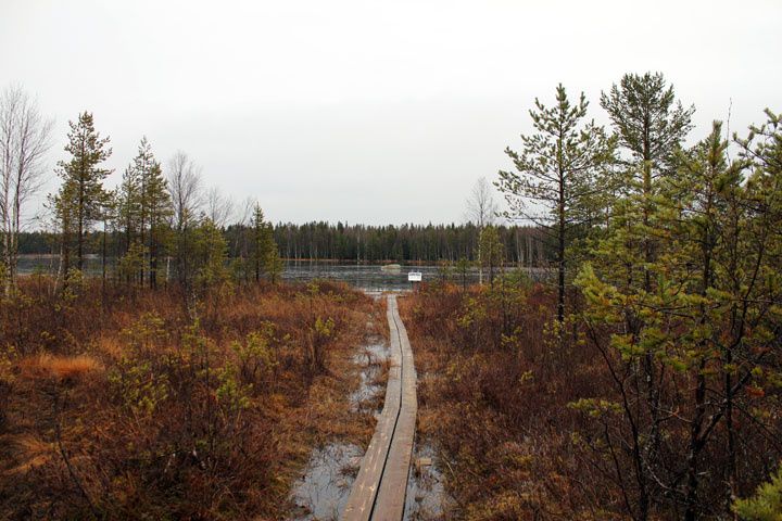 2012_11_04_2709.jpg