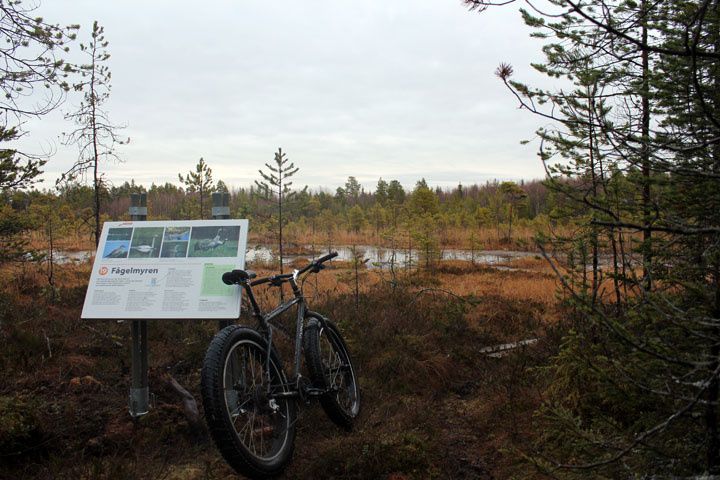 2012_11_04_2776.jpg