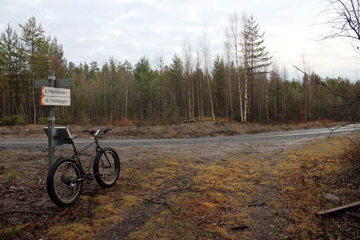 2012_11_04_2789.jpg