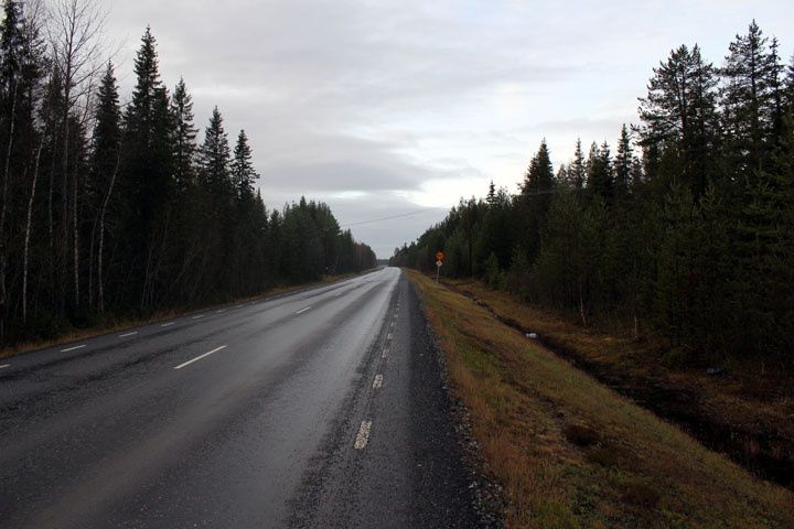 2012_11_04_2799.jpg
