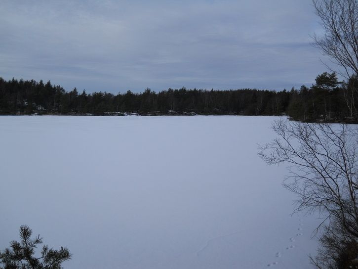 2013019.JPG