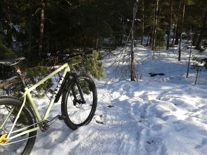 2013-03-0313.04.54.jpg