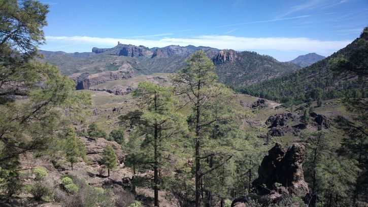 2013-03-12-0224.jpg