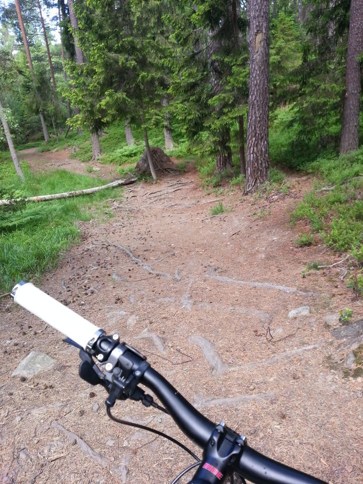 2013-06-0909.44.02.jpg
