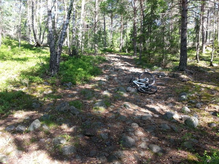 2013-06-0909.52.29.jpg