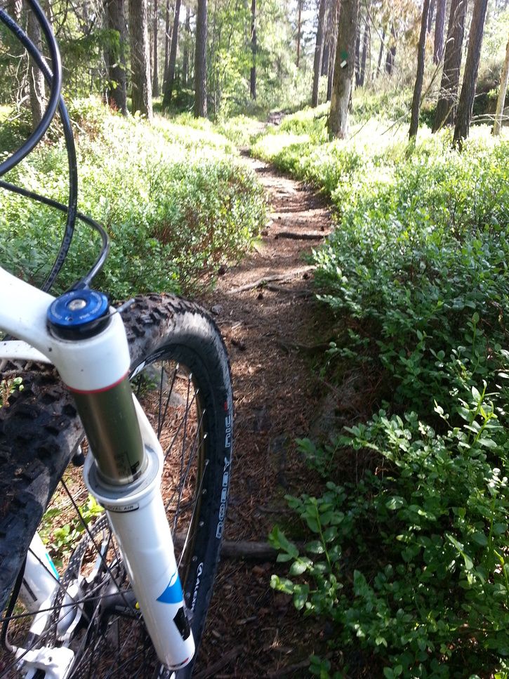 2013-06-0909.55.17.jpg